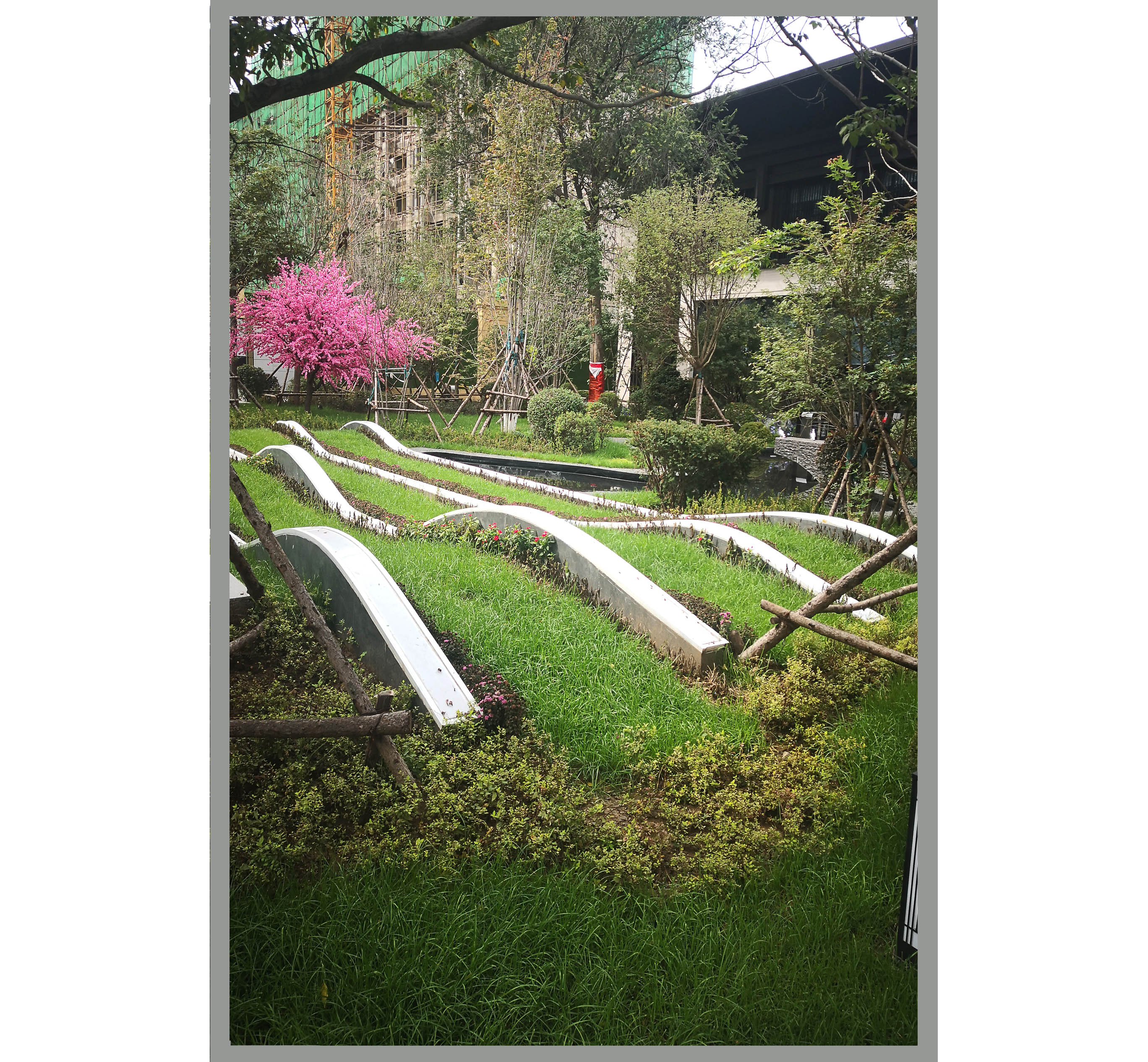 ������ͩ��-�����̻�2